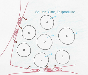 Sophia Matrix Lymphe